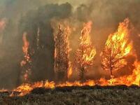 A massive fire in the Chouf village of Meshref spread to a nearby university and elementary school Monday. (Twitter)