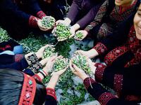 Although the situation in occupied Palestine has changed over the past decades, the olive season still maintains its own elegance and beauty with all members of the family taking part in the harvest (Twitter)