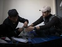 This photo taken on October 23, 2019 shows pet detective Sun Jinrong (R) and his assistant preparing a trap as they search for a missing cat in a residential compound in Beijing. Private sleuth Sun Jinrong brings heat detectors, tiny surveillance cameras, and a blowdart loaded with a tranquiliser to his search for one desperate client's missing loved one: A cat named Duoduo.  NOEL CELIS / AFP