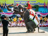 An elephants dressed in a Santa Claus costume performs during a gift presentation to schoolchildren during Christmas celebrations in Ayutthaya on December 23, 2019. Wearing red and white hats and a string of bells, Thai elephants passed out Christmas gifts to hundreds of schoolchildren on Monday despite growing criticism over using the animals in performances. The annual festive event is organised by a nearby elephant park, whose mahouts or handlers started in the early morning dressing the animals. Thailan