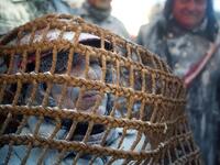 Revellers dressed in mock military garb take part in the "Els Enfarinats" battle in the southeastern Spanish town of Ibi on December 28, 2019. During this 200-year-old traditional festival participants known as Els Enfarinats (those covered in flour) dress in military clothes and stage a mock coup d'etat as they battle using flour, eggs and firecrackers outside the city town hall as part of the celebrations of the Day of the Innocents, a traditional day in Spain for pulling pranks. JAIME REINA / AFP