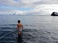 Swim among penguins (Twitter)