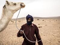 Cheih, from the small Nemadi(hunters) tribe in Eastern Mauritania is seen with a camel in desert between Tichitt to Aratane in Mauritania on January 23, 2020. In the arid West African country of Mauritania, the way of life of the traditional group of hunters known as the Nemadi is slowly disappearing. JOHN WESSELS / AFP