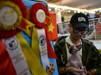 A participant sits with his cat Julian, a sphinx breed during Vietnam's first national cat show in Hanoi on February 16, 2020. Manan VATSYAYANA / AFP