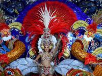 A participant presents her outfit during the Queen of the Carnival pageant contest in Santa Cruz de Tenerife, on the Spanish Canary island of Tenerife, on February 19, 2020. Gabriel BOUYS / AFP