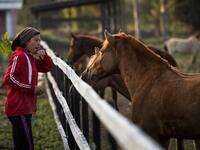 In this photograph taken on January 6, 2020, polo player Shanglenmayum Sangeet feeds Manipuri ponies at the Thangmeiband Polo Ground in Imphal, the capital of the northeastern Indian state of Manipur. Laishram Thadoi's face is a picture of concentration as she adjusts her helmet and prepares to play in Manipur, the remote Indian state regarded as the birthplace of modern polo. Xavier GALIANA / AFP