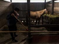 In this photograph taken on January 9, 2020, women's polo team captain Khundongbam Habe cleans a stable at Thangmeiband Polo Ground in Imphal, the capital of the northeastern Indian state of Manipur. Laishram Thadoi's face is a picture of concentration as she adjusts her helmet and prepares to play in Manipur, the remote Indian state regarded as the birthplace of modern polo. Xavier GALIANA / AFP