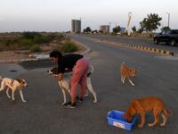 This photo taken on April 2, 2020 shows resident Noor Ali feeding stray dogs on a street near Clifton beach during a government-imposed nationwide lockdown as a preventive measure against the COVID-19 coronavirus, in Karachi. Asif HASSAN / AFP