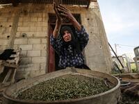 A Palestinian woman sifts lightly roasted wheat, harvested before maturity (freekeh), in Khan Yunis in the southern Gaza Strip on April 22, 2020, before being prepared to be used in a soup during the Muslim holy month of Ramadan which begins later in the week. From cancelled iftar (fast breaking) feasts to suspended mosque prayers, Muslims across the Middle East are bracing for a bleak month of Ramadan fasting as the threat of the COVID-19 pandemic lingers. The holy Muslims fasting month of Ramadan is a per