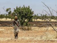 Maan, famed for its pistachio production, was controlled for years by jihadists and their rebel allies but it fell to the government at the start of the year following a months-long offensive. Although battles have died down, farmers in Hama are now grappling with landmines left behind by rebels and jihadists. LOUAI BESHARA / AFP