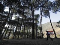 The Lebanese state, specifically the government of technocrats and its supporters, insists on cutting hundreds of thousands of trees in order to implement the Bisri dam project, or the ‘death dam’ as described by its opponents (Twitter)