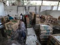 the village of Shubra Beloula In Gharbiya, in the Egyptian fertile Delta, produces more than half of the aromatic extracts used in essential oils for global jasmine production. Mohamed el-Shahed / AFP