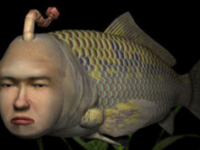 6. SEAMAN