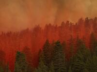 Fire retardant from a Coulson 737 firefighting tanker jet falls on a forest to slow the Bobcat Fire at the top of a major run up a mountainside in the Angeles National Forest on September 10, 2020 north of Monrovia, California. California wildfires that have already incinerated a record 2.3 million acres this year and are expected to continue till December. The Bobcat Fire has grown to about 24,00 acres, and is 6% contained. David McNew/Getty Images/AFP DAVID MCNEW / GETTY IMAGES NORTH AMERICA / Getty Image