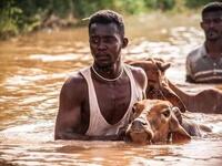 Officials say that across Sudan seasonal floods have killed 94 people, injured 46 and destroyed or damaged over 60,000 homes, with the river level rising to 17.43 metres (57 feet feet). Twitter