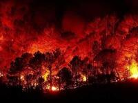 Fires in Syria killed two people. (Twitter)