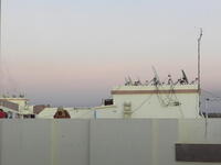 Fez. One of the most popular tourist spots in Morocco, life has stayed the same for centuries in this medieval city /Photo Ewelina Lepionko