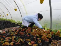 Sonia Ibidhi, a 42-year-old journalist turned to organic farming, cares for potted plants in the greenhouse of her small farm where she produces edible flowers, in the northwestern Tunisian coastal town of Tabarka, on Januray 28, 2021. FETHI BELAID / AFP