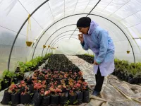 Sonia Ibidhi, a 42-year-old journalist turned to organic farming, tastes some petals in the greenhouse of her small farm where she produces edible flowers, in the northwestern Tunisian coastal town of Tabarka, on Januray 28, 2021.FETHI BELAID / AFP
