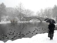 The National Weather Service issued storm warnings from Virginia to Maine -- a swathe home to tens of millions of people -- and forecast snowfall of 18 to 24 inches (45-60 centimeters) in southern New York, northeastern New Jersey and parts of southwest Connecticut.  TIMOTHY A. CLARY / AFP