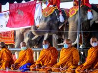 Buddhist monks chant during a ceremony to mark National Elephant Day