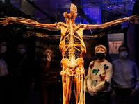 People visit the "Body Worlds", the anatomical art exhibition of plastinated human bodies