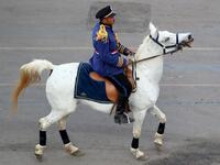 A mounted policeman dressed in ceremonial uniform rides along the parade area before the start of the parade of 22 ancient Egyptian royal mummies 