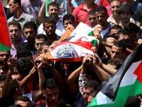 الشهداء: أعلنت وزارة الصحة الفلسطينية في غزة ارتفاع حصيلة ضحايا القصف الإسرائيلي على القطاع إلى 232 بينهم 65 طفلًا و39 سيدة.