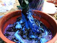 Dyers dye cotton fabric at Pathe'O house in the popular district of Treichville in Abidjan on March 31, 2021. A small self-taught tailor in his early years, the Ivorian-Burkinabe Pathe'O became the designer of African heads of state and celebrates the fiftieth anniversary of his brand, leading the "fight" for the recognition of fashion on the continent