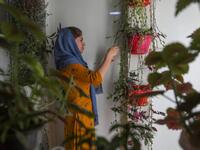 World Refugee Day marked internationally