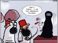 Taliban moderation, The Taliban promises the rights of women in Afghanistan will be respected. Miguel Villalba Sánchez (Elchicotriste)