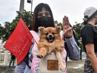 Anti-government Protesters in Thailand