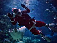 The World Wears Christmas Spirit Despite Omicron Fears