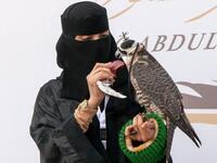 الصقر: ويرمز إلى الثقافة والتقاليد التي ورثها الشعب السعودي من الآباء والأجداد وهي "الصقارة".