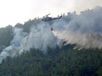 Batramaz forest fire