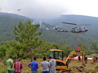 Batramaz forest fire 