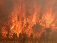 wildfires