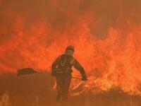 wildfires