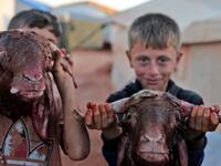 Eid al-Adha