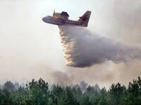 wildfires