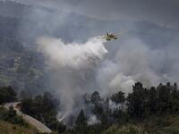 wildfires