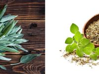 فوائد الميرمية والبردقوش للهرمونات