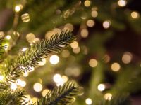 تفسير رؤية شجرة الكريسماس بدون زينة في المنام