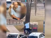 أحمد الأحمد