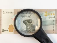 الدعم الكبير من المغتربين ساهم في تعزيز الاستقرار المالي وتحريك سعر الصرف