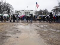 Regional diplomacy averts U.S. strikes on Iran