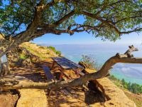 الأغوار الأردنية: وجهة مثالية للهدوء والمغامرة الشتوية