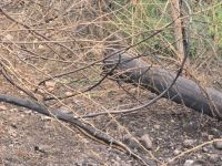 سقوط شظايا في شمال المملكة