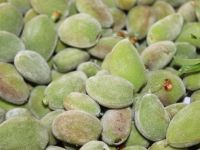 طريقة عمل مكدوس اللوز الأخضر