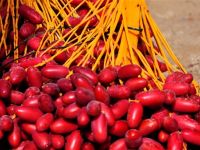 حلم البلح الاحمر